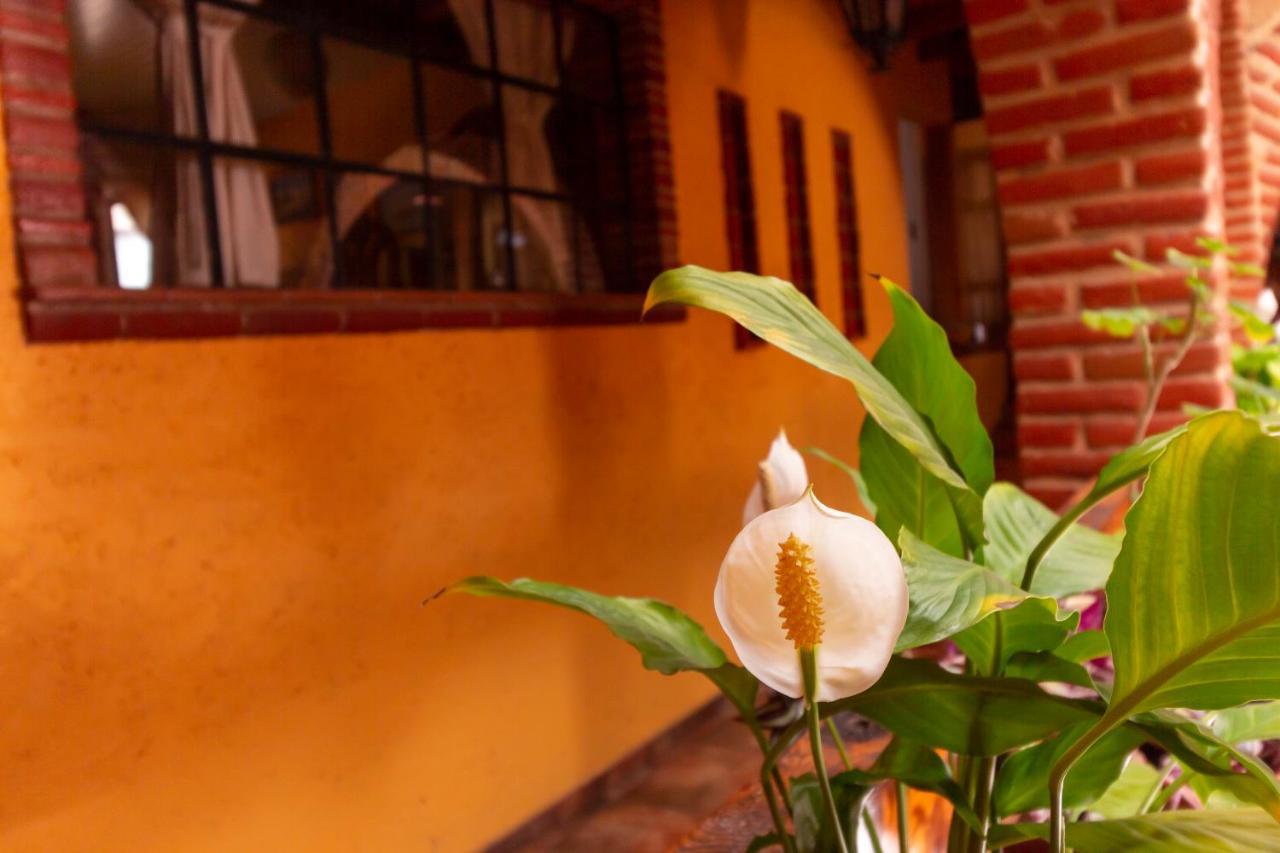 Mex Suites Casa Azul B&B Ciudad de México Exterior foto