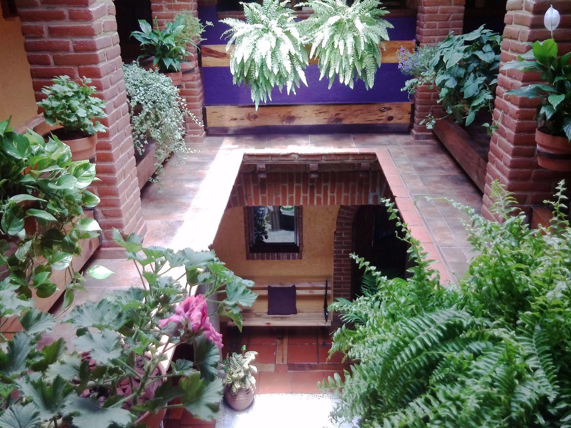 Mex Suites Casa Azul B&B Ciudad de México Exterior foto